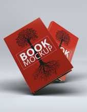 Book Mock-Up 03